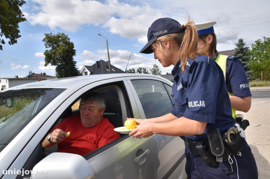 Policyjna akcja w powiecie poddębickim