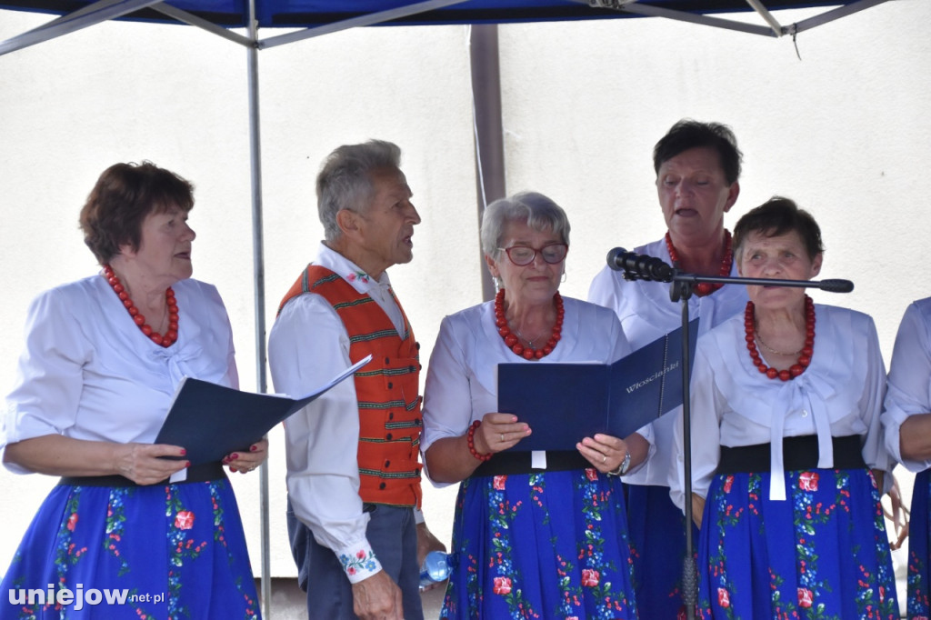 Tak wyglądał piknik rodzinny w Ostrowsku