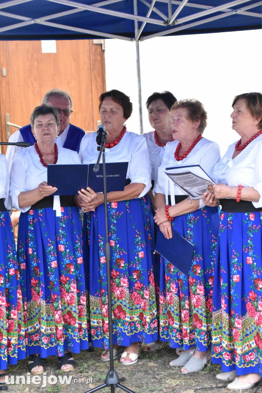 Tak wyglądał piknik rodzinny w Ostrowsku