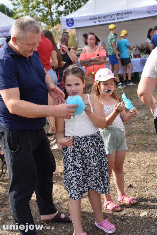 Tak wyglądał piknik rodzinny w Ostrowsku