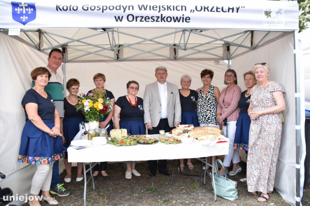 Tak wyglądał piknik rodzinny w Ostrowsku