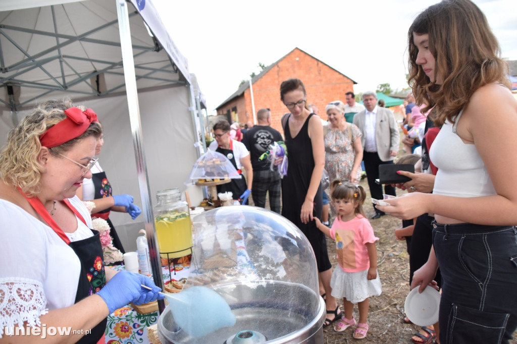 Tak wyglądał piknik rodzinny w Ostrowsku