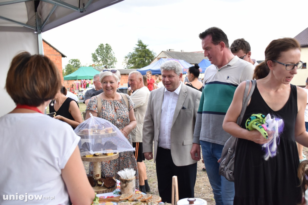 Tak wyglądał piknik rodzinny w Ostrowsku