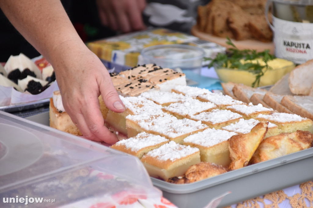 Tak wyglądał piknik rodzinny w Ostrowsku