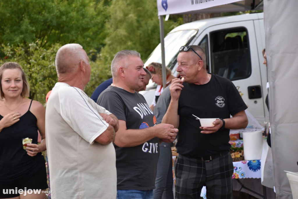 Tak wyglądał piknik rodzinny w Ostrowsku