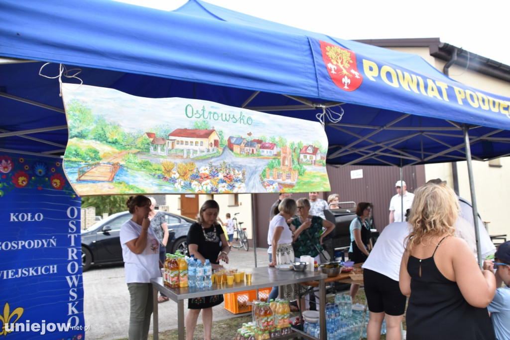 Tak wyglądał piknik rodzinny w Ostrowsku