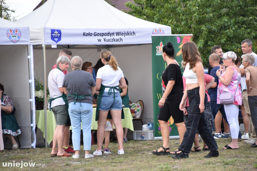 Tak wyglądał piknik rodzinny w Ostrowsku