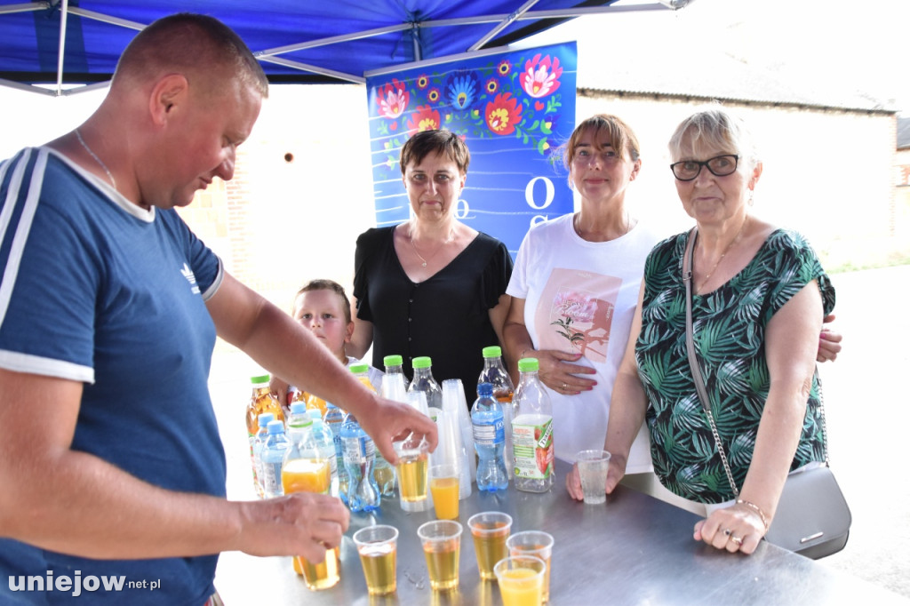 Tak wyglądał piknik rodzinny w Ostrowsku