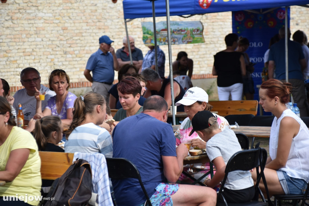 Tak wyglądał piknik rodzinny w Ostrowsku