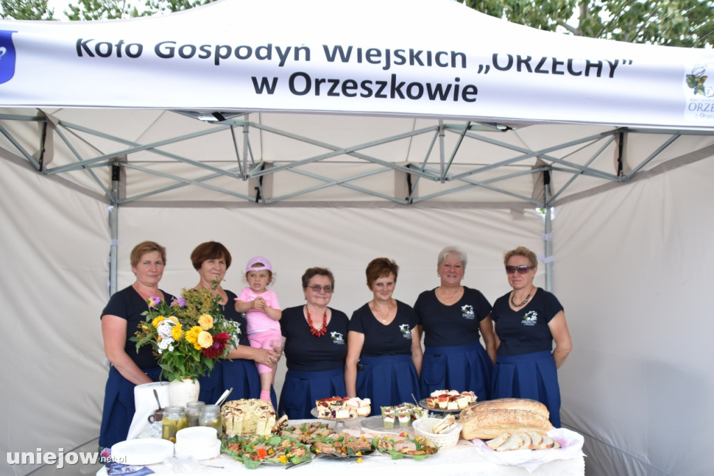 Tak wyglądał piknik rodzinny w Ostrowsku
