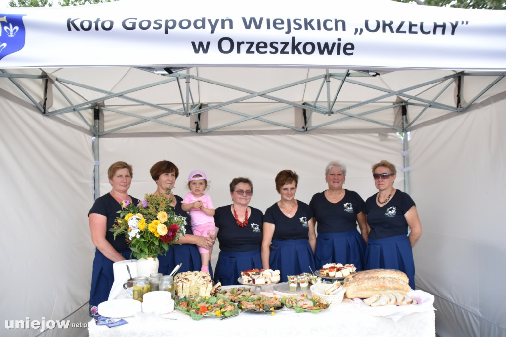 Tak wyglądał piknik rodzinny w Ostrowsku