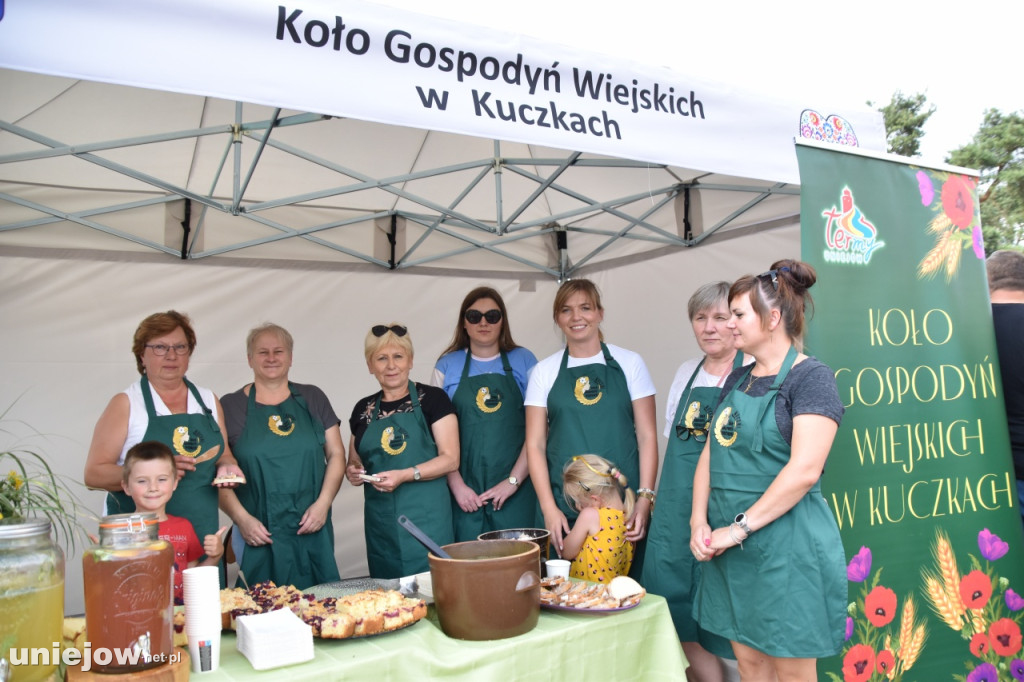 Tak wyglądał piknik rodzinny w Ostrowsku