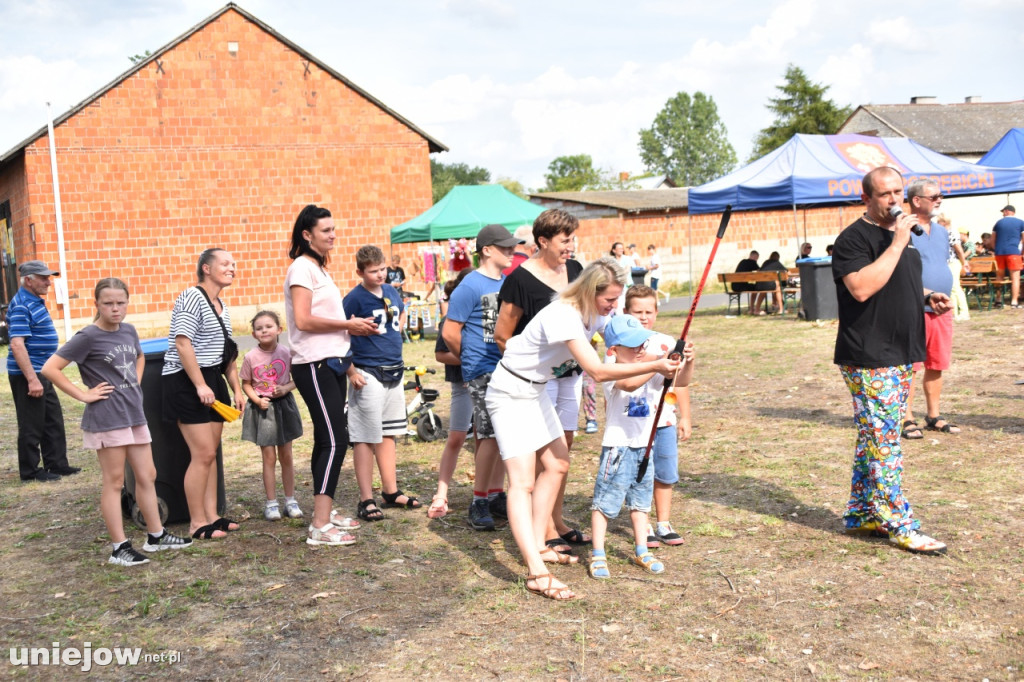 Tak wyglądał piknik rodzinny w Ostrowsku