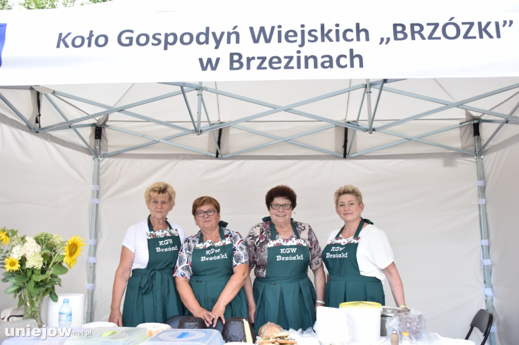 Tak wyglądał piknik rodzinny w Ostrowsku
