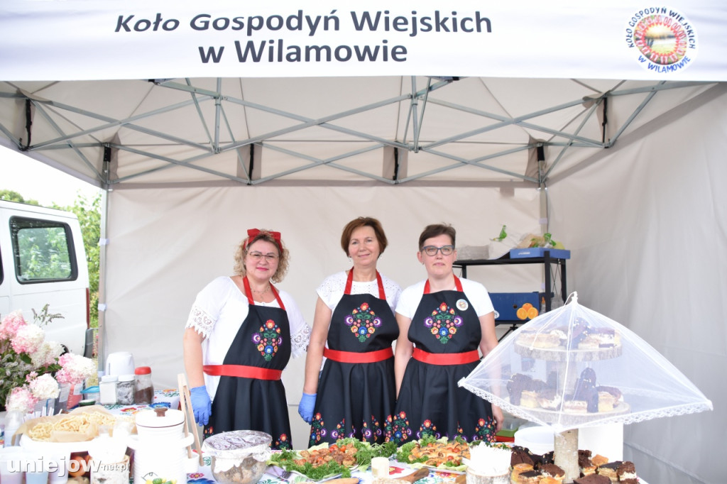 Tak wyglądał piknik rodzinny w Ostrowsku