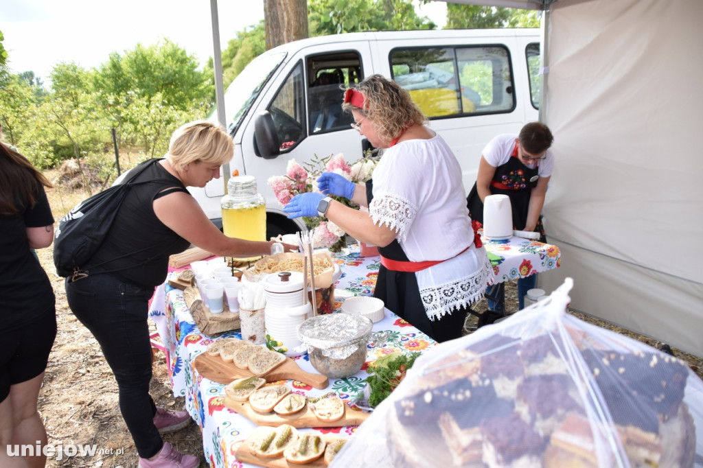 Tak wyglądał piknik rodzinny w Ostrowsku