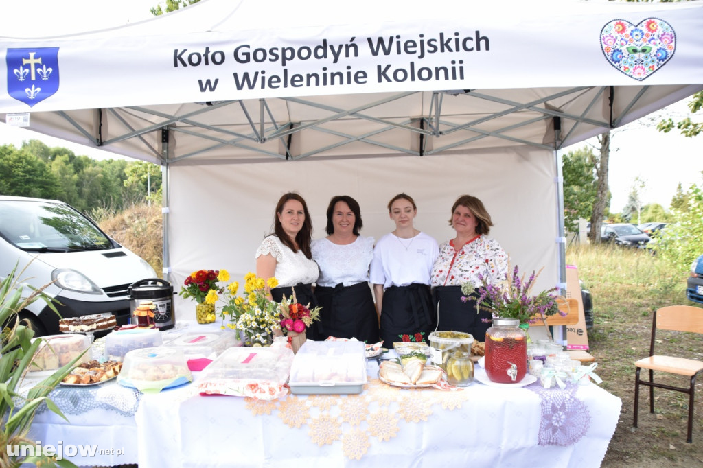 Tak wyglądał piknik rodzinny w Ostrowsku