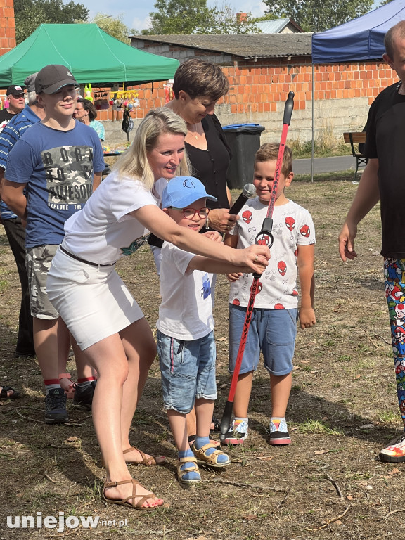 Tak wyglądał piknik rodzinny w Ostrowsku