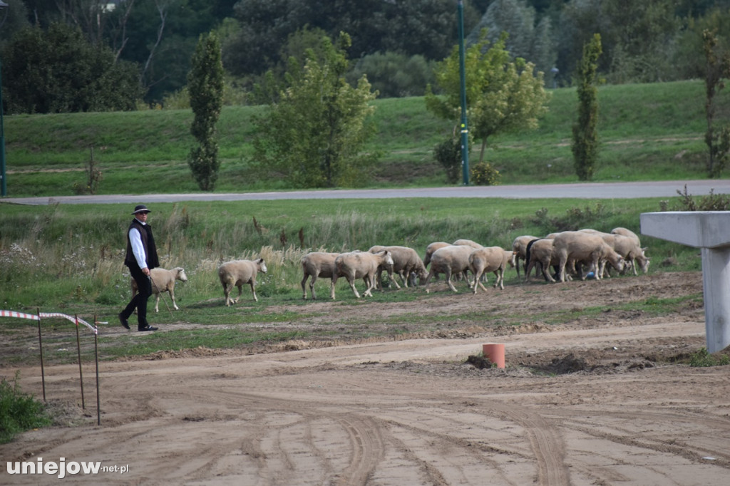 Budowa tężni w Uniejowie. Wkopano kamień węgielny