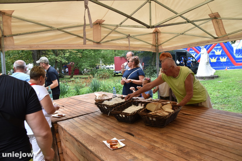 Piknik  z województwem łódzkim w Uniejowie