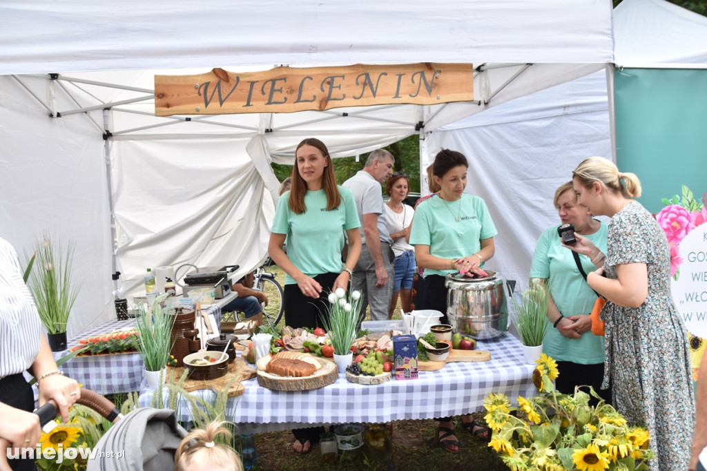Piknik  z województwem łódzkim w Uniejowie
