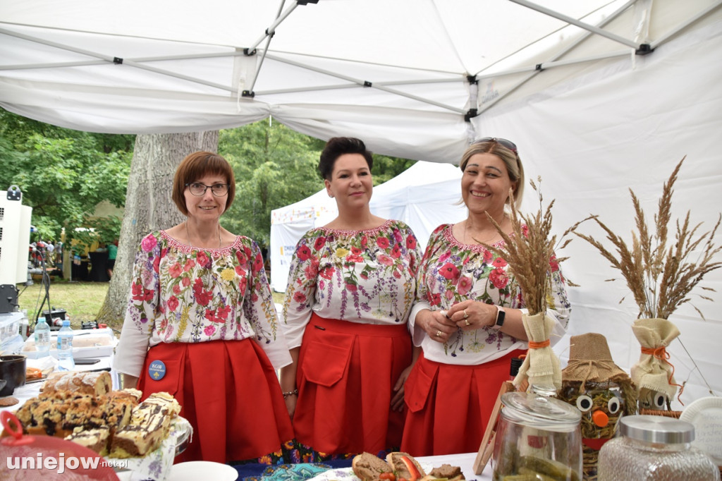 Piknik  z województwem łódzkim w Uniejowie