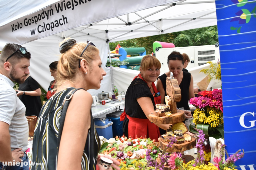 Piknik  z województwem łódzkim w Uniejowie