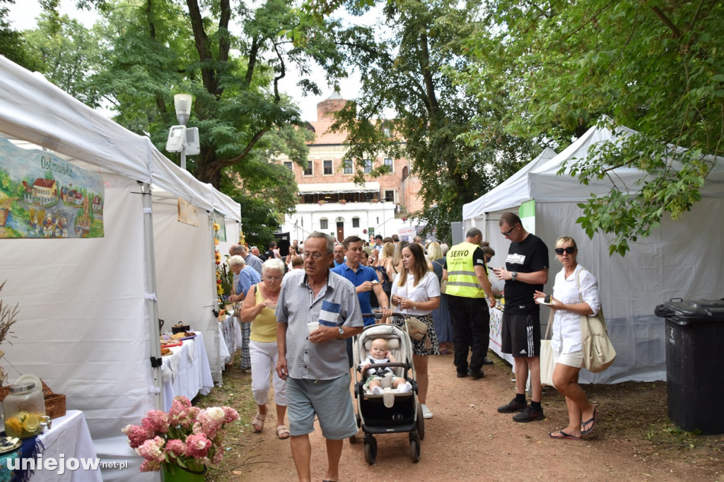 Piknik  z województwem łódzkim w Uniejowie