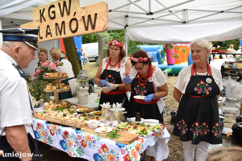 Piknik  z województwem łódzkim w Uniejowie