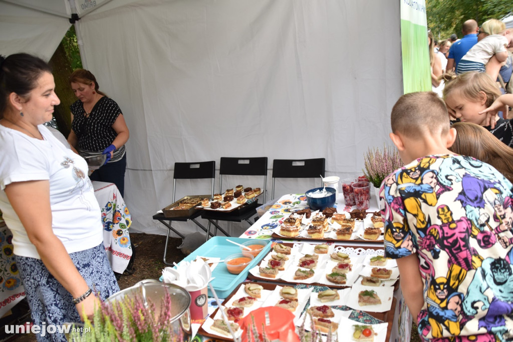 Piknik  z województwem łódzkim w Uniejowie