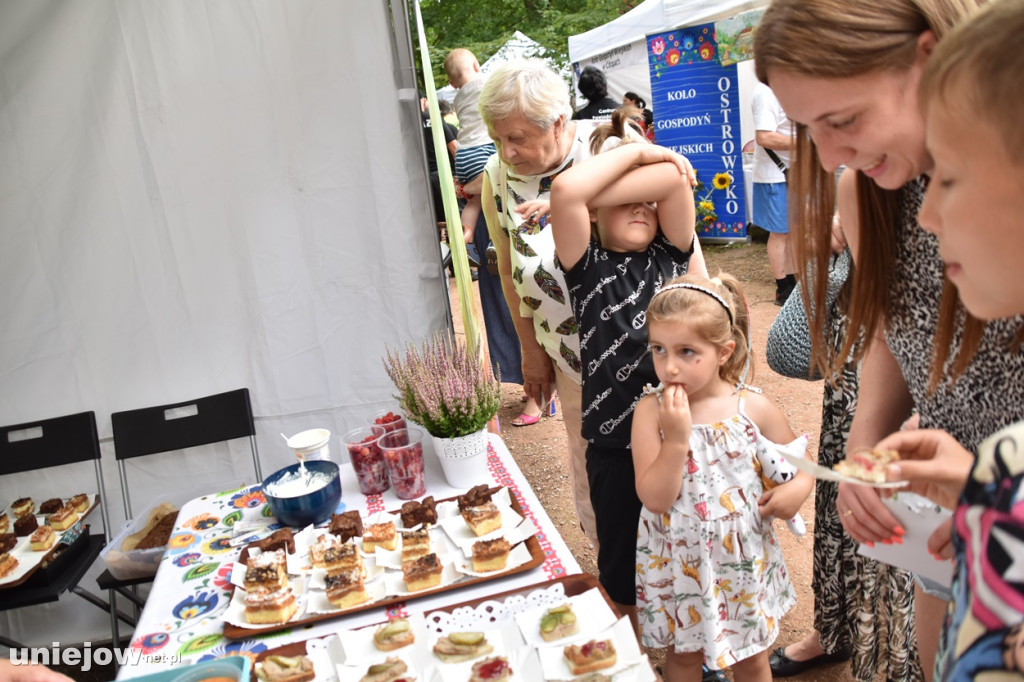 Piknik  z województwem łódzkim w Uniejowie
