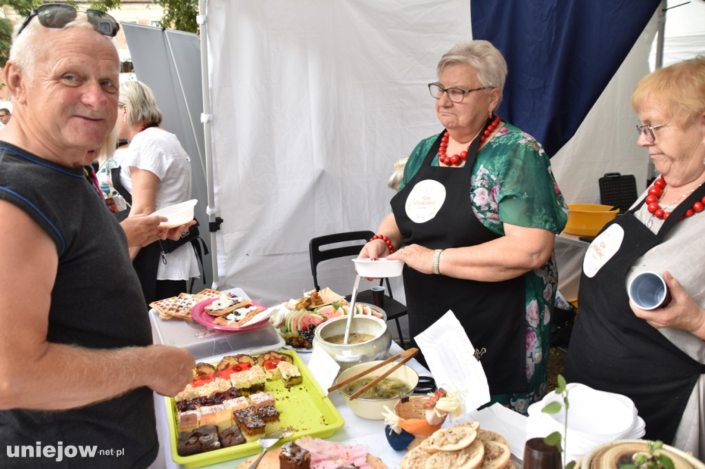 Piknik  z województwem łódzkim w Uniejowie