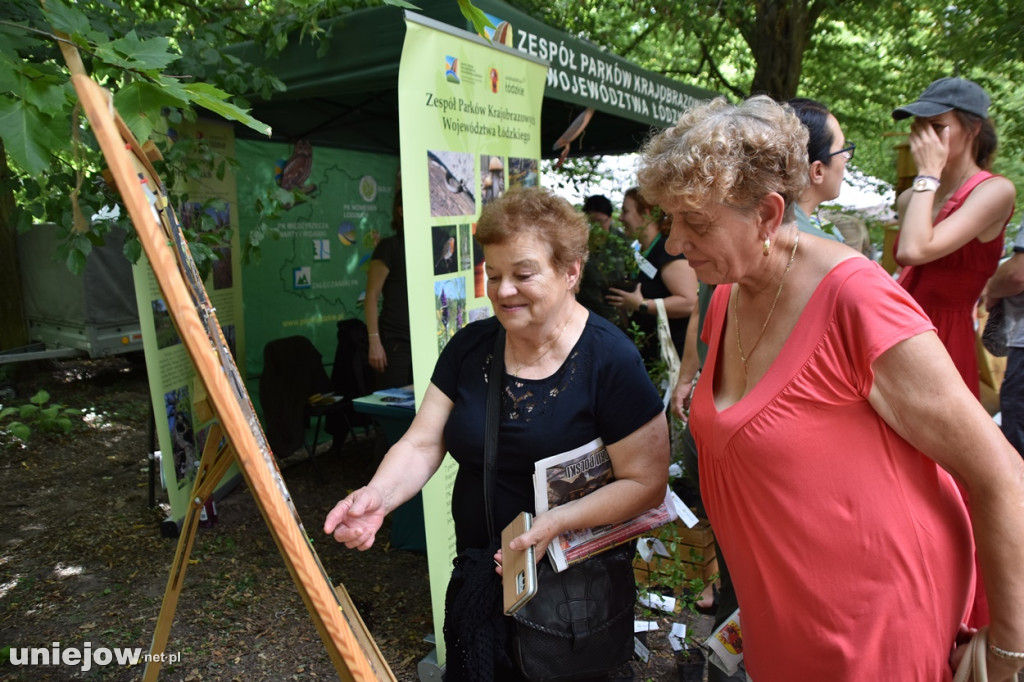 Piknik  z województwem łódzkim w Uniejowie