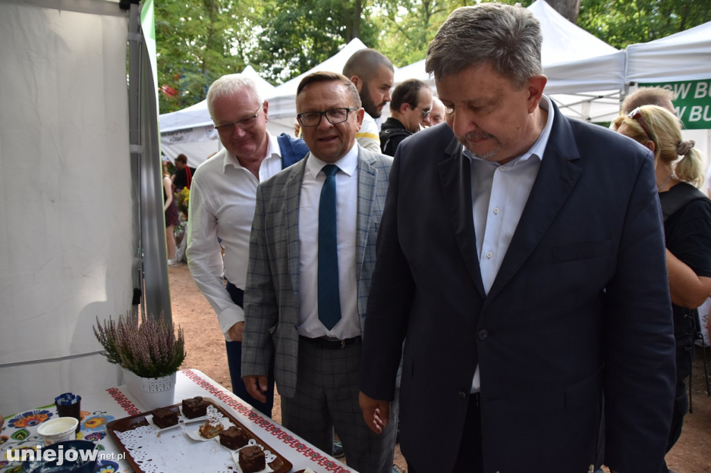 Piknik  z województwem łódzkim w Uniejowie