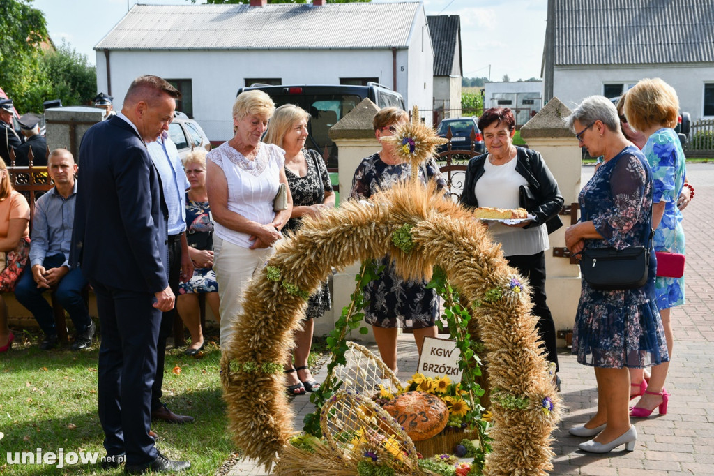 Gmina Uniejów. Dożynki gminno-parafialne gościły w Wieleninie Kolonii