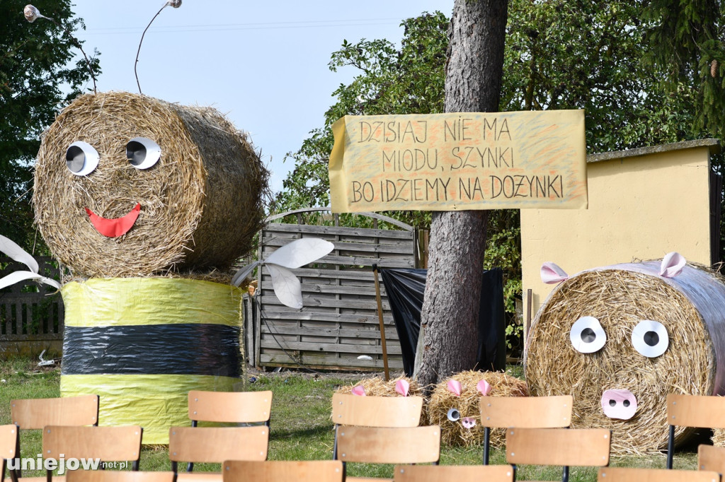 Gmina Uniejów. Dożynki gminno-parafialne gościły w Wieleninie Kolonii