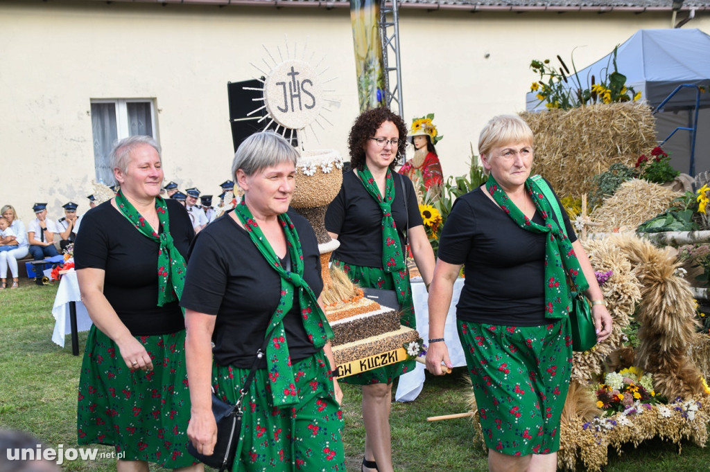 Gmina Uniejów. Dożynki gminno-parafialne gościły w Wieleninie Kolonii