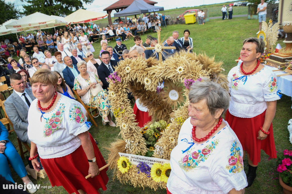 Gmina Uniejów. Dożynki gminno-parafialne gościły w Wieleninie Kolonii