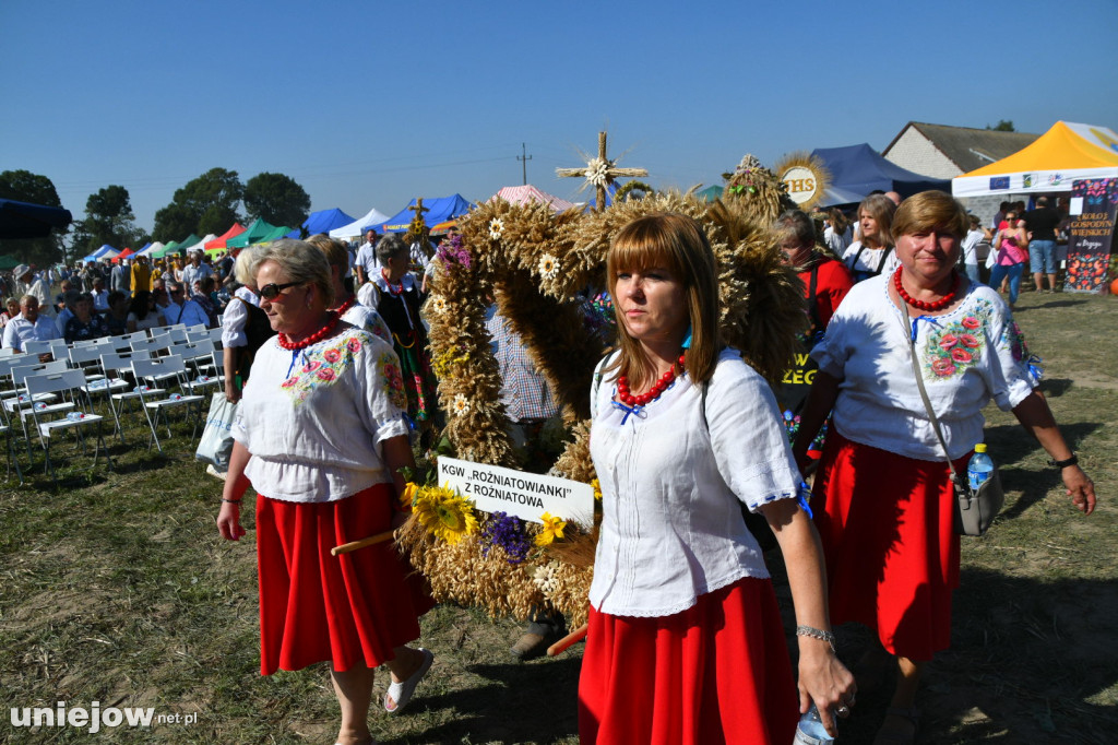 XI Dożynki Powiatu Poddębickiego 2023 [ZDJĘCIA]