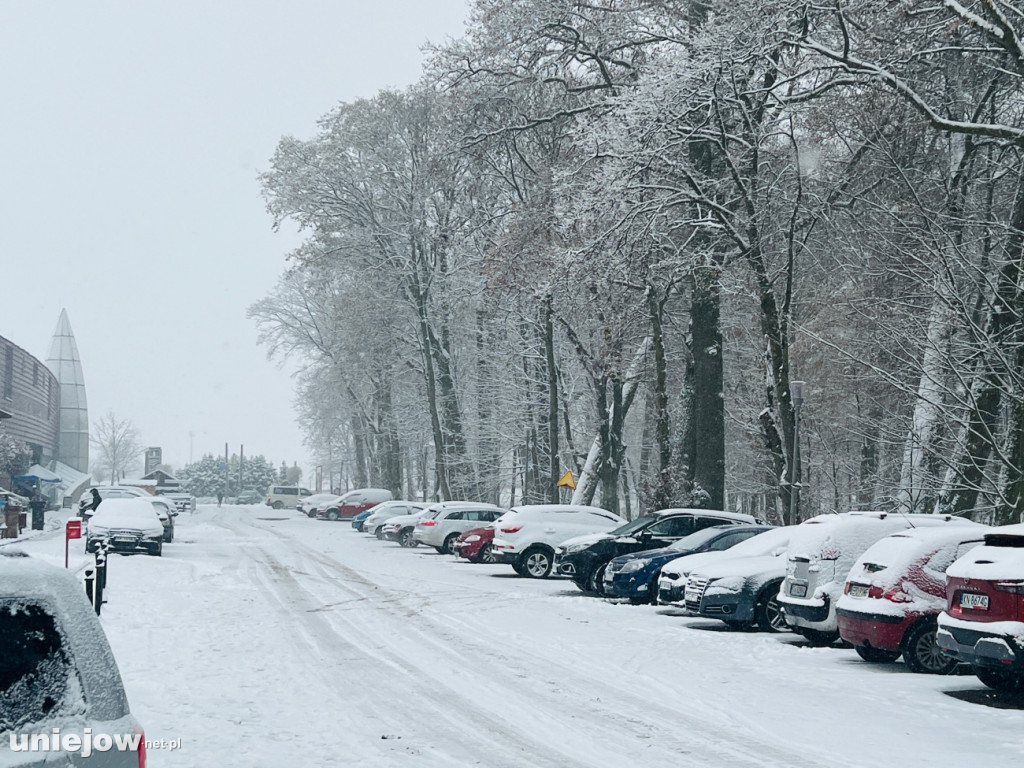 Biały Uniejów