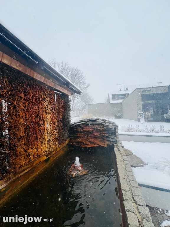Biały Uniejów