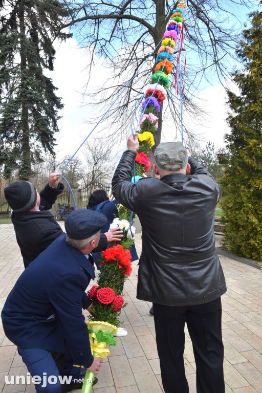 Największe palmy w konkursie palm wielkanocnych w Wilamowie