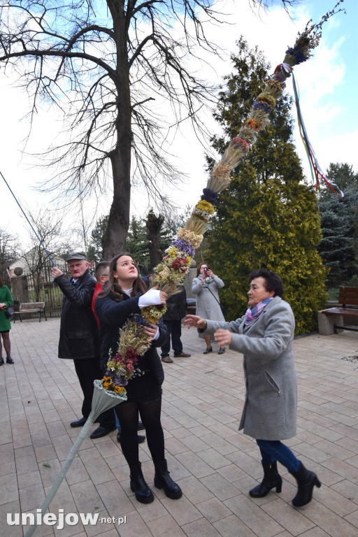Największe palmy w konkursie palm wielkanocnych w Wilamowie