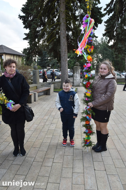 Największe palmy w konkursie palm wielkanocnych w Wilamowie