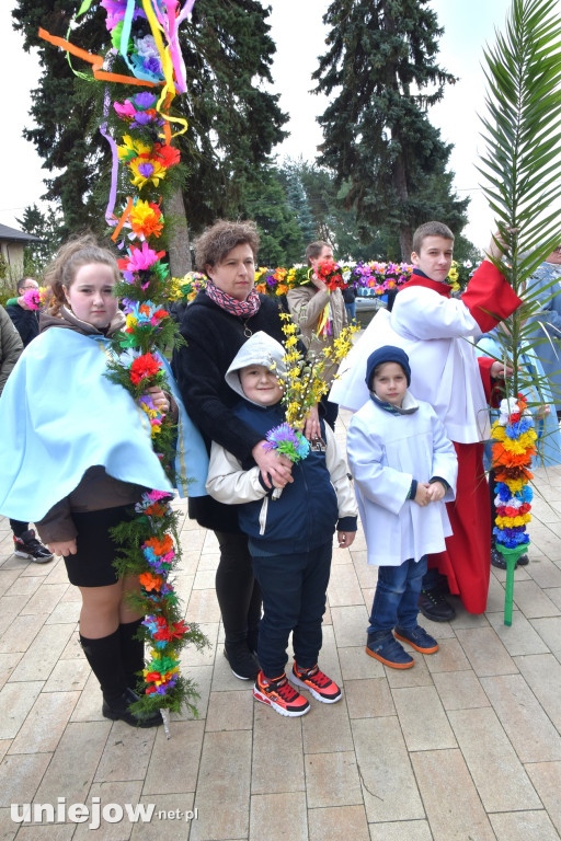Największe palmy w konkursie palm wielkanocnych w Wilamowie