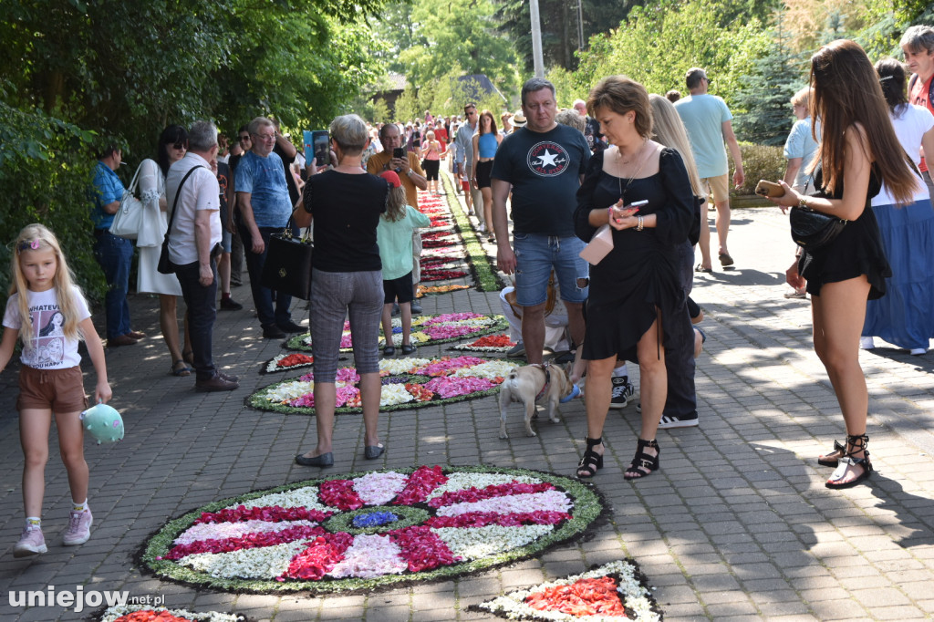 Tak wyglądają kwiatowe dywany w Spycimierzu