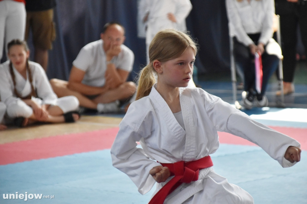 X Turniej Małego Karateki w Uniejowie