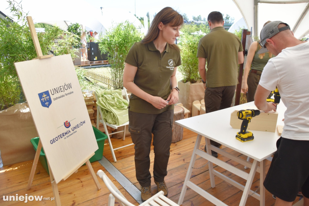 Jakie atrakcje czekają w Ekomiasteczku Earth Festivalu