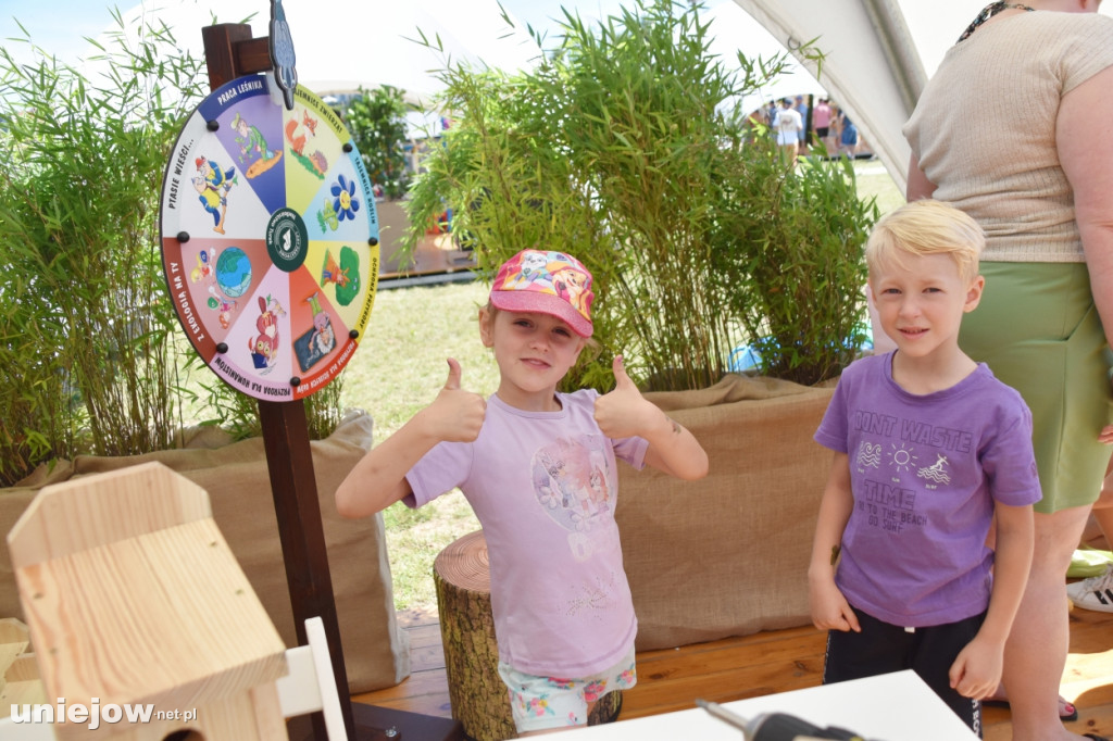 Jakie atrakcje czekają w Ekomiasteczku Earth Festivalu