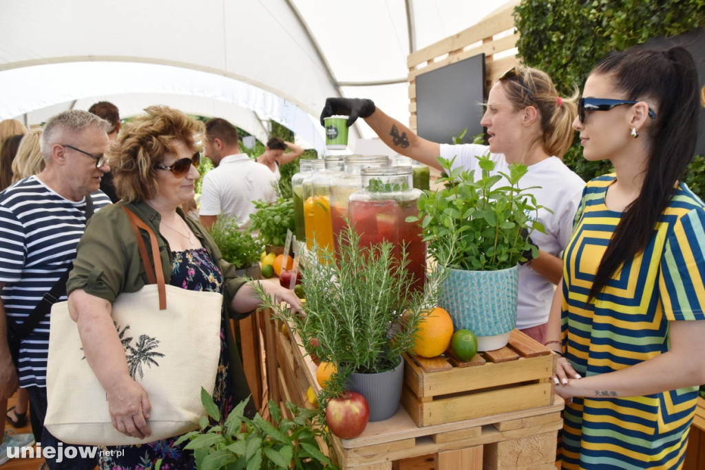 Jakie atrakcje czekają w Ekomiasteczku Earth Festivalu